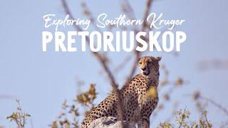 Pretoriuskop Rest Camp | Kruger National Park