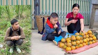Harvest oranges to sell at the market - fertilize the vegetable garden |  chúc thị lánh