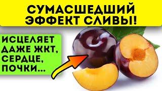 Почему врачи это скрывают?! Слива изменяет тело человека, если ее... + рецепт варенья