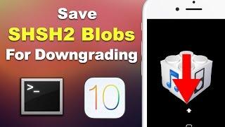 Save iOS 11 SHSH2 Blobs for Downgrading (3 METHODS - Mac & Windows) | Preserve Your Jailbreak!