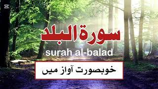 Tilawat-e-Quran In beautiful voice ️️|| HDS Channel #quranicverse #quran