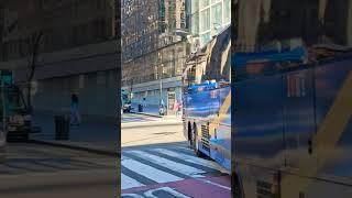 Clueless Pedestrian Almost Gets Run Over by MTA Bus #mta #mtabus #nyc #nyctransit