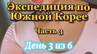 часть 3 | ЭКСПЕДИЦИЯ ПО ЮЖНОЙ КОРЕЕ | DULLEGIL