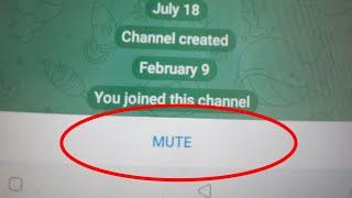 Remove Mute & Unmute Option & Visible Send Message Option In Telegram Channel