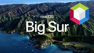 NetBeans on Mac OS 11 Big Sur