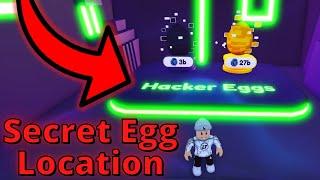 New *SECRET* Hacker Egg Location | Roblox Pet Simulator X