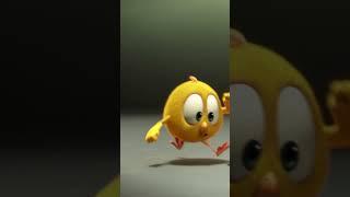 Hole in one #chicky | Chicky Cartoon in English for Kids