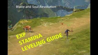 Blade and Soul Revolution - EXP Stamina Leveling Guide