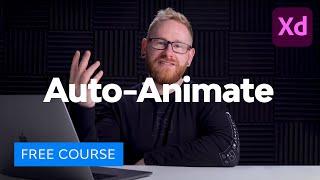 Adobe XD Auto-Animate: From Beginner to Advanced