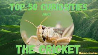 Top 50 Curiosities about the Crickets