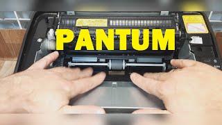 Pantum P2200 / P2207 / M6500 Does not take paper. Jam. Grab roller. How to remove