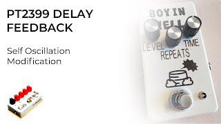 PT2399 Delay Pedals - How to Add Self Oscillation