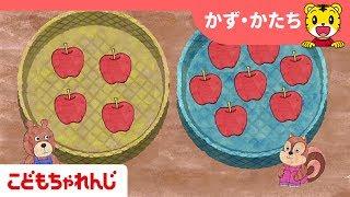 どっちが　おおい｜知育・かず・かたち｜2・3歳向け｜こどもちゃれんじぽけっと【しまじろうチャンネル公式】