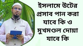 ইসলামে উটের প্রসাব পান করা যাবে কি ও মুখমণ্ডল দোয়া যাবে কি