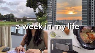 life in singapore | 8-5 wfh routine, groceries, meal prep, cooking, HPV vaccination #wfh #vlog