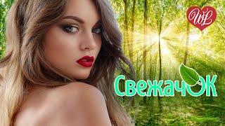 СВЕЖАЧОК  СБОРНИК КРАСИВЫХ ПЕСЕН WLV  RUSSISCHE MUSIK  RUSSIAN MUSIC HITS