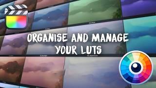 The Best Way to Organize Your LUTs Folder in Final Cut Pro!