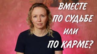 Человек по судьбе или кармический партнёр?