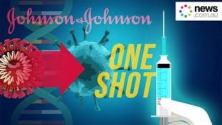 One shot Covid-19 vaccine: how does it work?