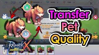 [ROX] Upgrade Your Pet By Transfer Pet Quality For Better Stat | KingSpade