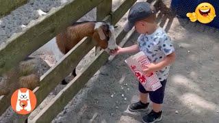 Videos Graciosos de Animales y Bebés  Momentos Divertidos de Bebés en el Zoológico | Videos de risa