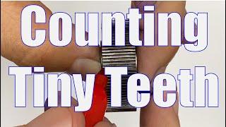 How to Count Tiny Gear Teeth