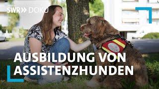 Zurück ins Leben - mein Hund als Helfer | SWR Doku