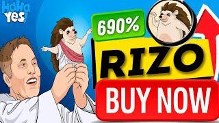 🟢 What is HahaYes RIZO Coin  RIZO Crypto Token Analysis 