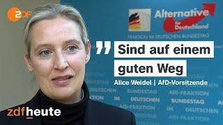 AfD-Jugend: Das Ende der "Jungen Alternative"?