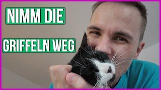 Einzugsgeschenk für die Katz - willkommen im neuen Katzenheim 