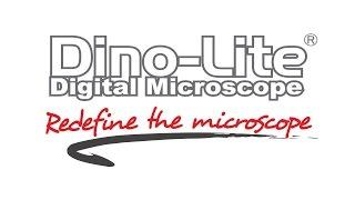 Dino-Lite Digital Microscope Cameras