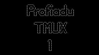 Profiadu TMUX 1 - 230427