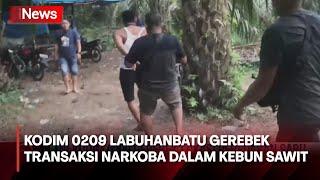 Kodim 0209 Labuhanbatu Gerebek Lokasi Transaksi  Narkoba di Dalam Kebun Sawit