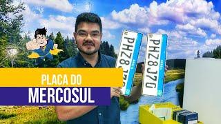 Placa do Mercosul - O que você precisa saber sobre ela | Dabela Despachante