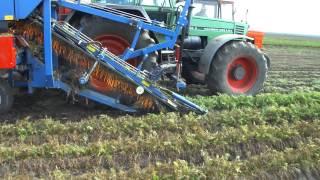 ASA-LIFT CM1000 Carrot harvester Romania