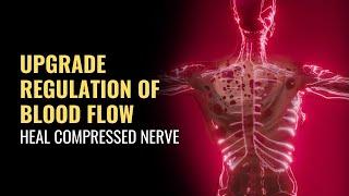 Upgrade Regulation of Blood Flow | Heal Compressed Nerve | Reduce Numbness Tingling in Hand and Feet