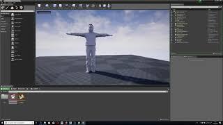 Import Animation from Softimage XSI to Unreal Engine 4