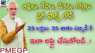 How to apply for PMEGP scheme | PMEGP పథకానికి అప్లై చెయ్యడం ఎలా | పశువుల లోన్ | dairy farm subsidy