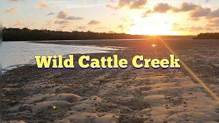 Land Based Fishing, Wild Cattle Creek, Gladstone, Queensland (ep06)