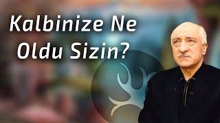 What Happened To Your Heart? l M. Fethullah Gülen