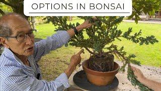 Options for Creating Bonsai