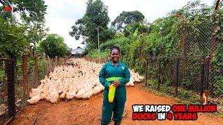 They Raised Over A Million Ducks In 4 Years (Uganda)