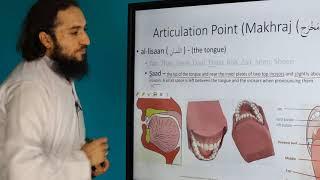 14 - Articulation Point (Makhraj) of letter S_aad ( ص ) (14th letter of Arabic Alphabet)