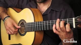 Cordoba Guitars - F10 Flamenco