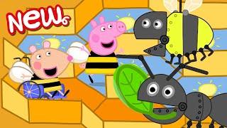 Peppa Pig Tales  A Day At The Bug Museum!  Peppa Pig Episodes