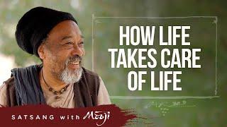 Kuidas elu hoolitseb elu eest ~ Mooji (How Life Takes Care of Life)