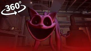 CATNAP MOVIE Collection 360° VR