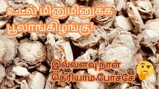 பூலாங்கிழங்கு பொடியின் பயன்கள்Poolankilangu benefits in tamilMahi Herbals