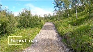 Forest  Run | Treadmill Run | Running POV | Egilsstaðir | Iceland | 20 min Workout