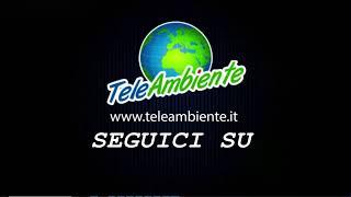 Live stream di Teleambiente channel